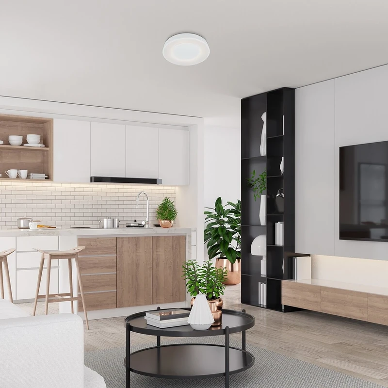 Ceilo – LED плафон в бяло с дистанционно, Ø480мм, 38W, 3000-6500K