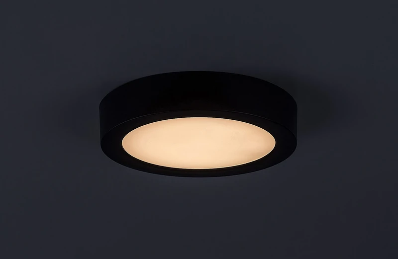 Shaun2 – LED плафон в черно/бяло, Ø165мм, 15W, 3000K