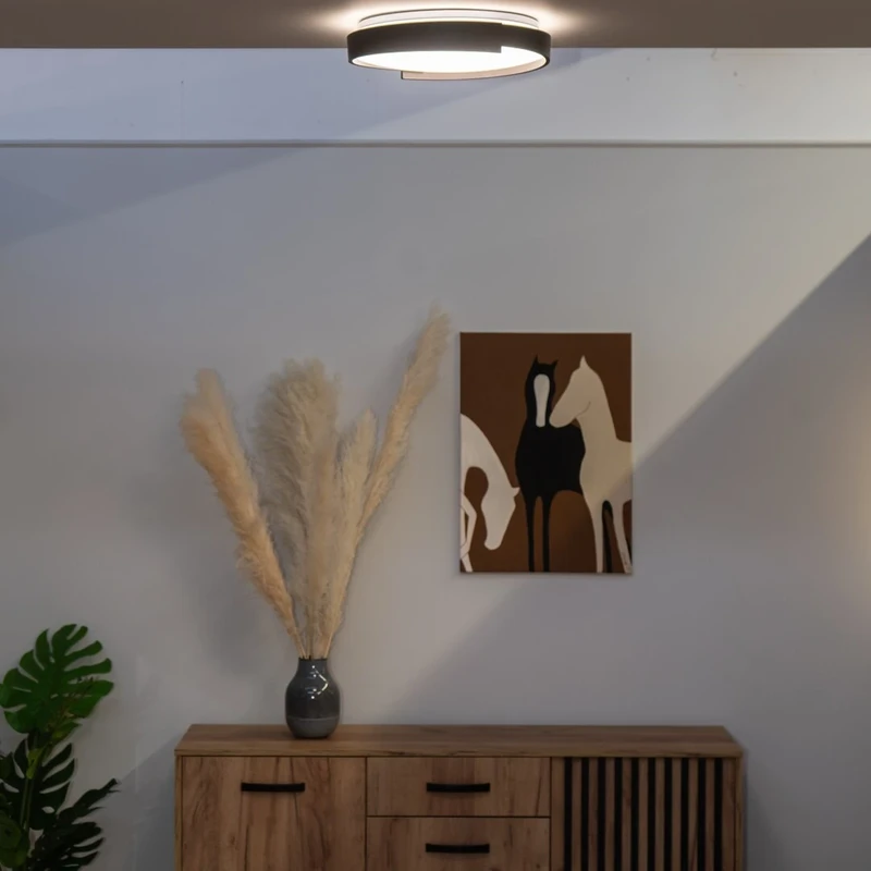 Laleh – LED плафон в черно с бял абажур, Ø400мм, 24W, 3000-6500K