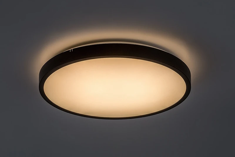 Alenzo – LED панел в черно с бял абажур, Ø355мм, 24W, 3000-6000K, IP44