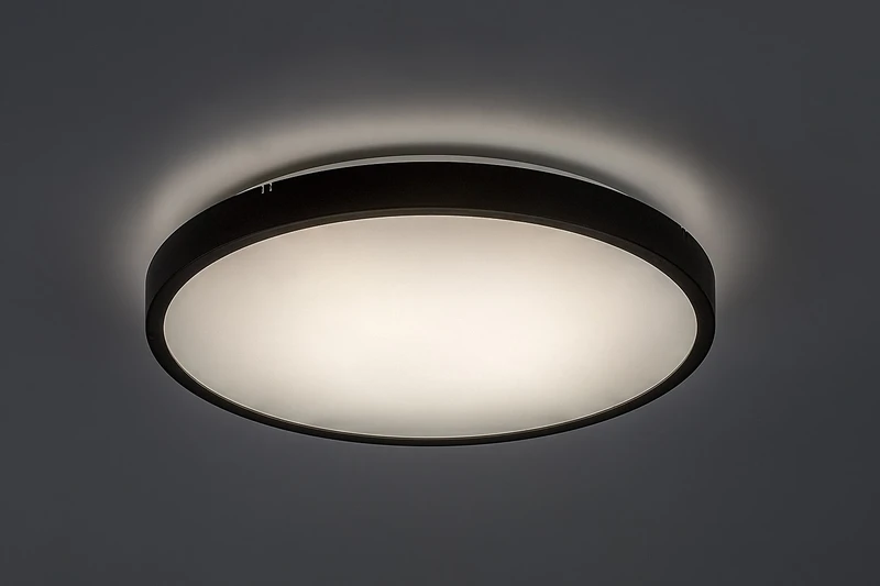Alenzo – LED панел в черно с бял абажур, Ø355мм, 24W, 3000-6000K, IP44
