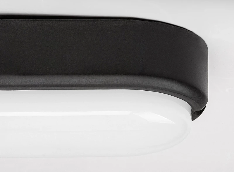 Hort – LED външна лампа за стена/таван в черно, 200×100мм, 15W, 4000K, IP54