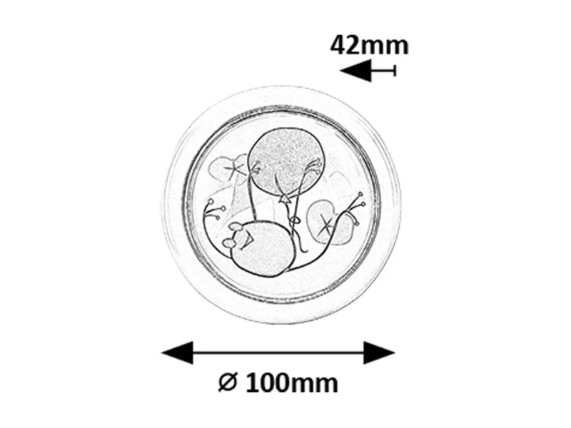 Froggo – LED детски pushlight в бяло с цветен мотив, Ø100мм, 0.3W, 6000K